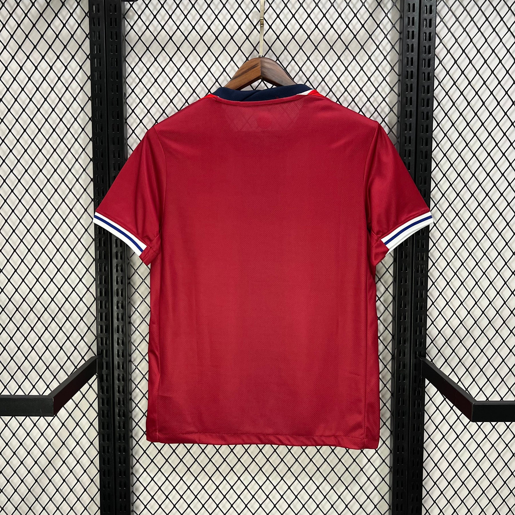 #10 テ賄egaard Norway Home Jersey 2024/2025