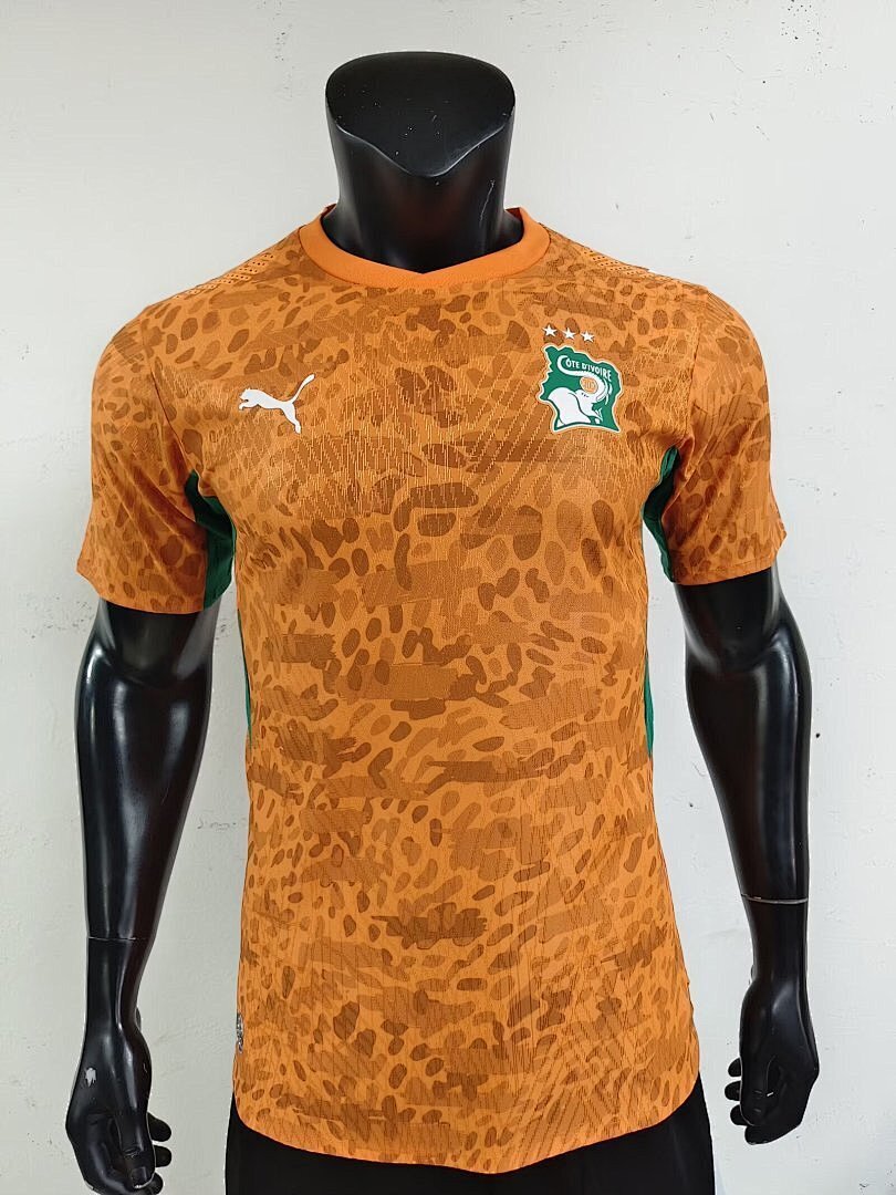 Ivory Coast World Cup Special Edition Jersey - Player Version