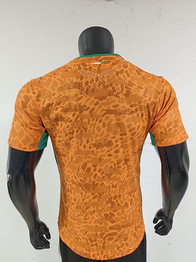 Ivory Coast World Cup Special Edition Jersey - Player Version