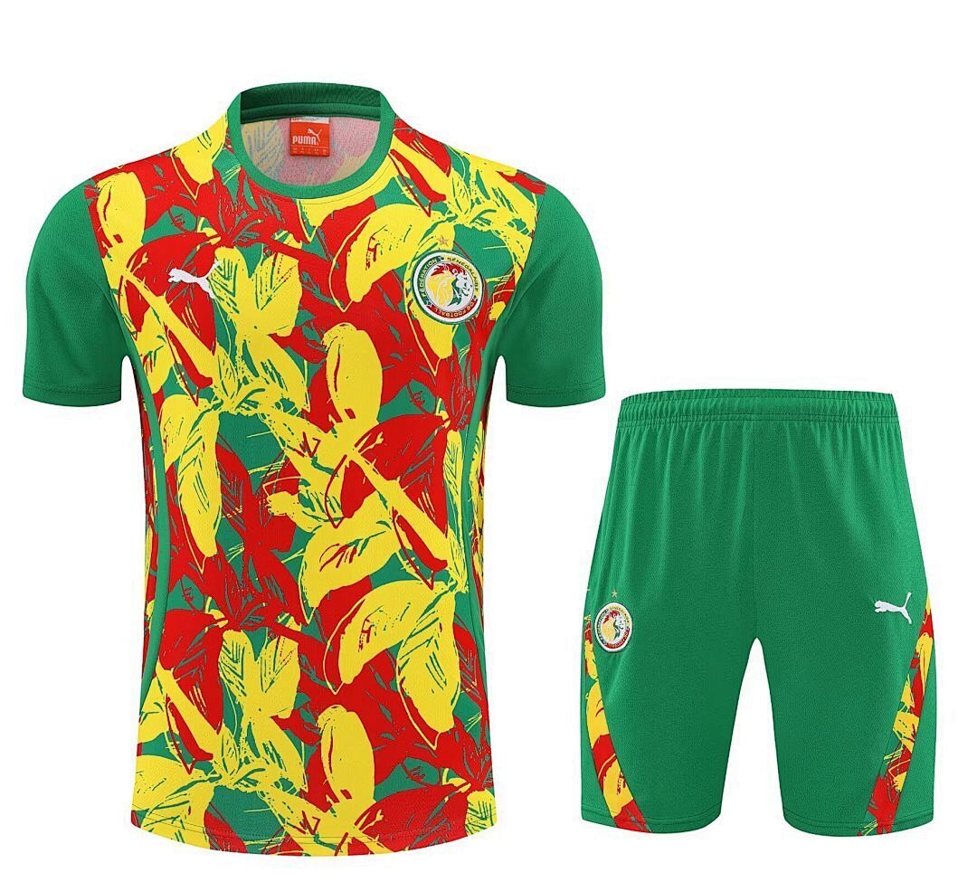 Senegal 2025 Training Kit