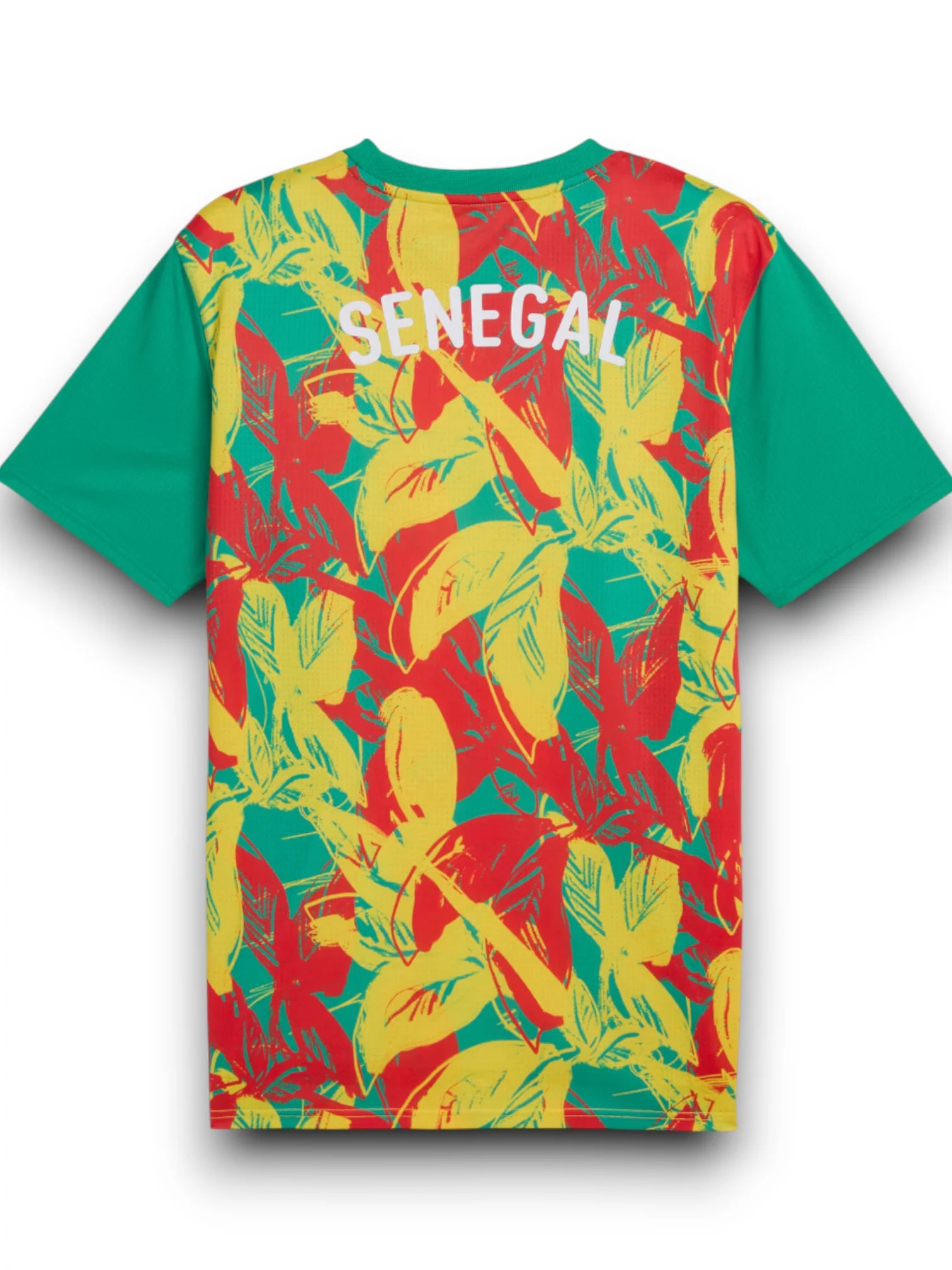 Senegal Pre-Match Jersey 2025