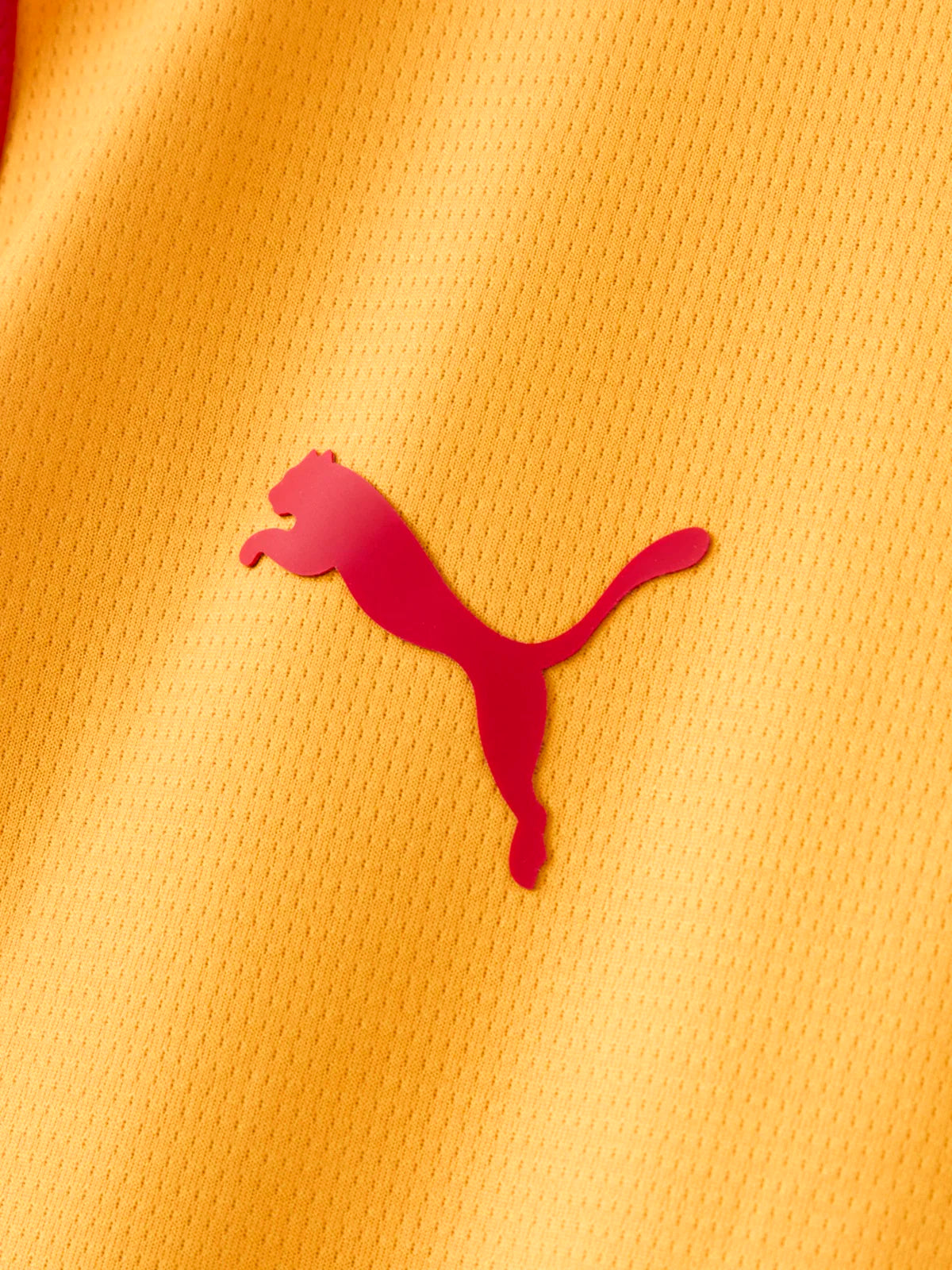 Galatasaray Home and Third Fan 2026/27 Combo