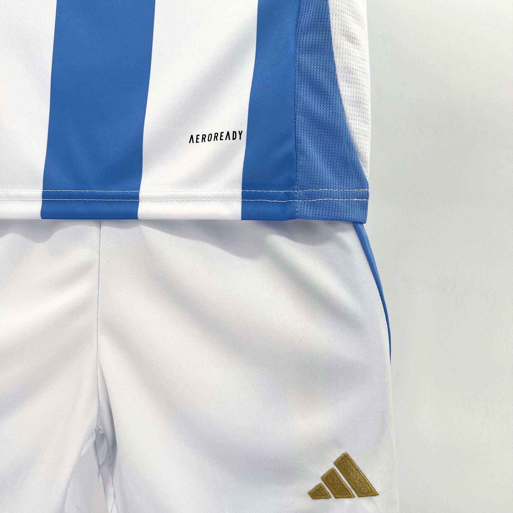 Camiseta Argentina I 2024/2025 para Niños