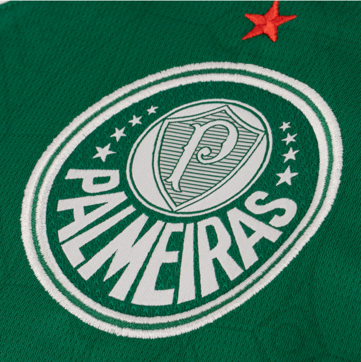 Camisa Palmeiras 25/26