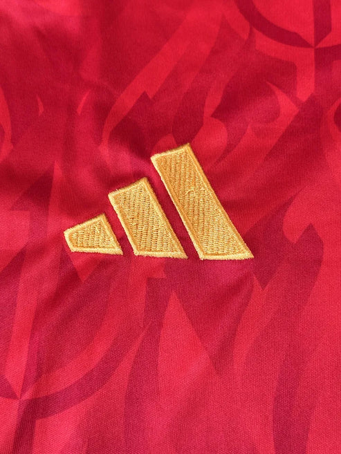 Belgium World Cup 2026 Jersey - Player Version