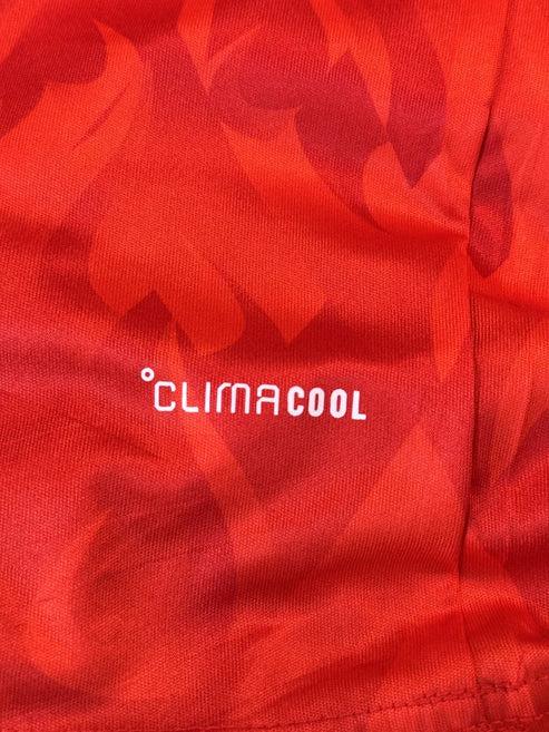 Belgium World Cup 2026 Jersey - Player Version