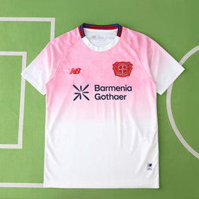 Bayer 04 Leverkusen 25/26 Concept Version