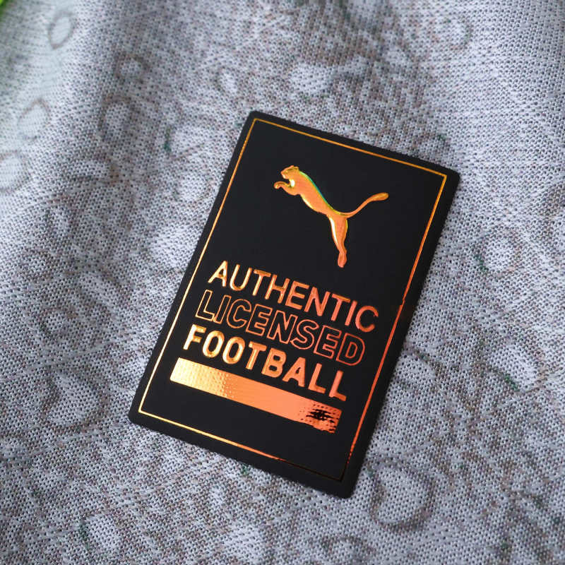 Manchester City Player Jersey Third 2025/26