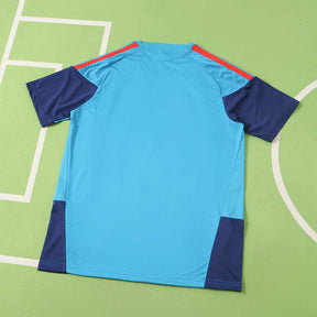 Spain World Cup 2026 Training Blue Jersey