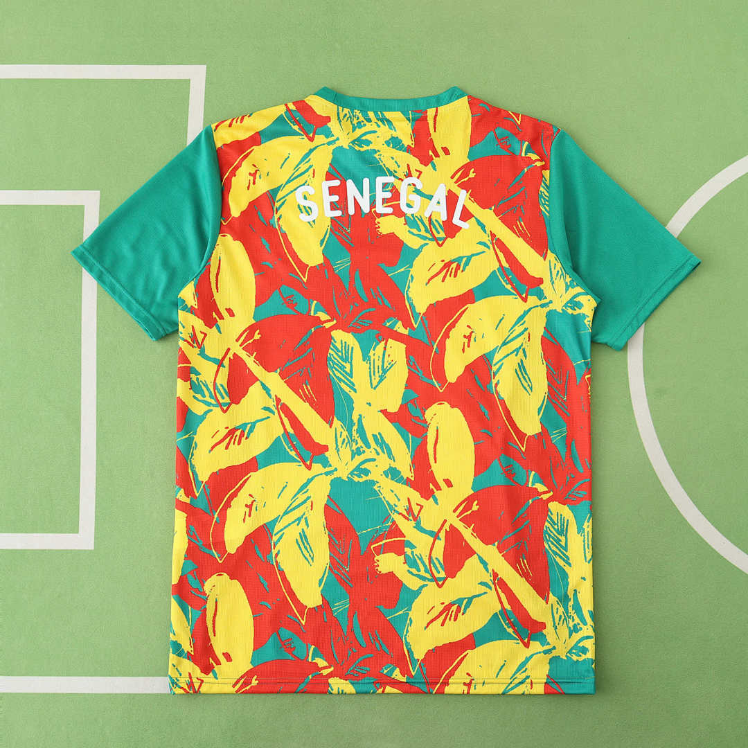 Senegal Pre-Match Jersey 2025