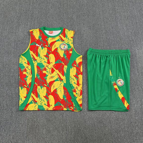 Senegal 2025 Training Kit - No Sleeve