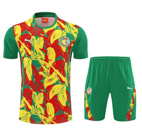 Senegal 2025 Training Kit