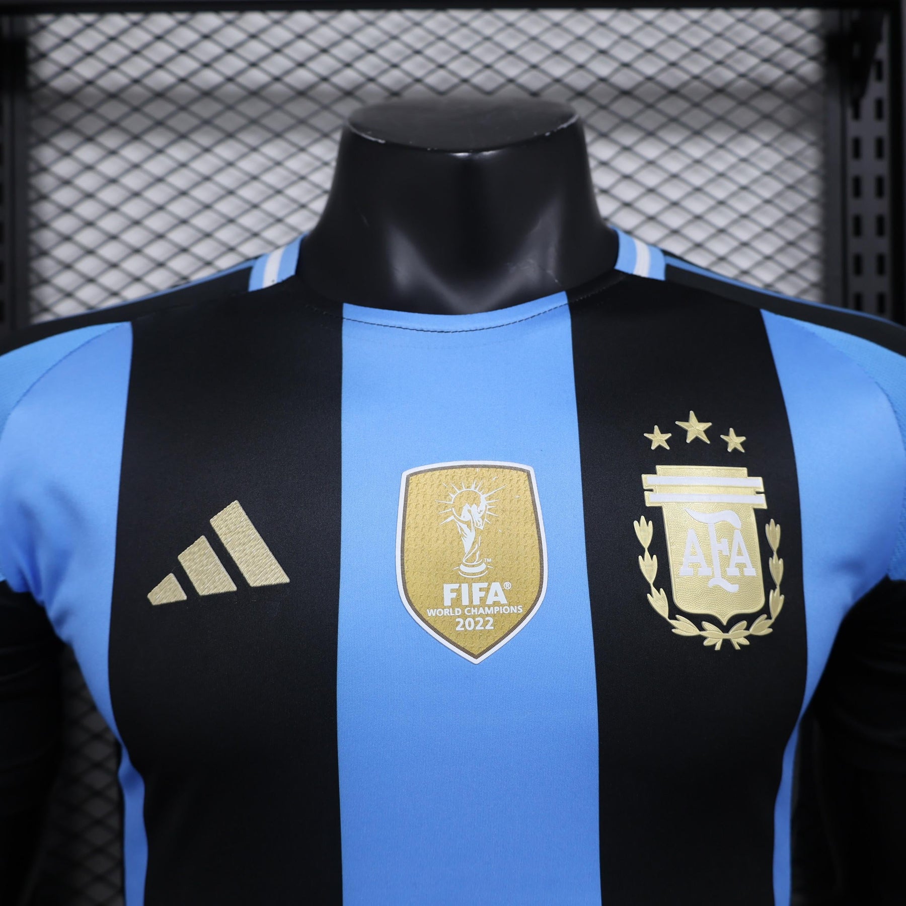 Argentina Edicion especial I Camiseta 2024/25 - Version Jugador