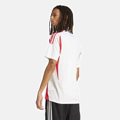 Away 24/25 Men's Jersey