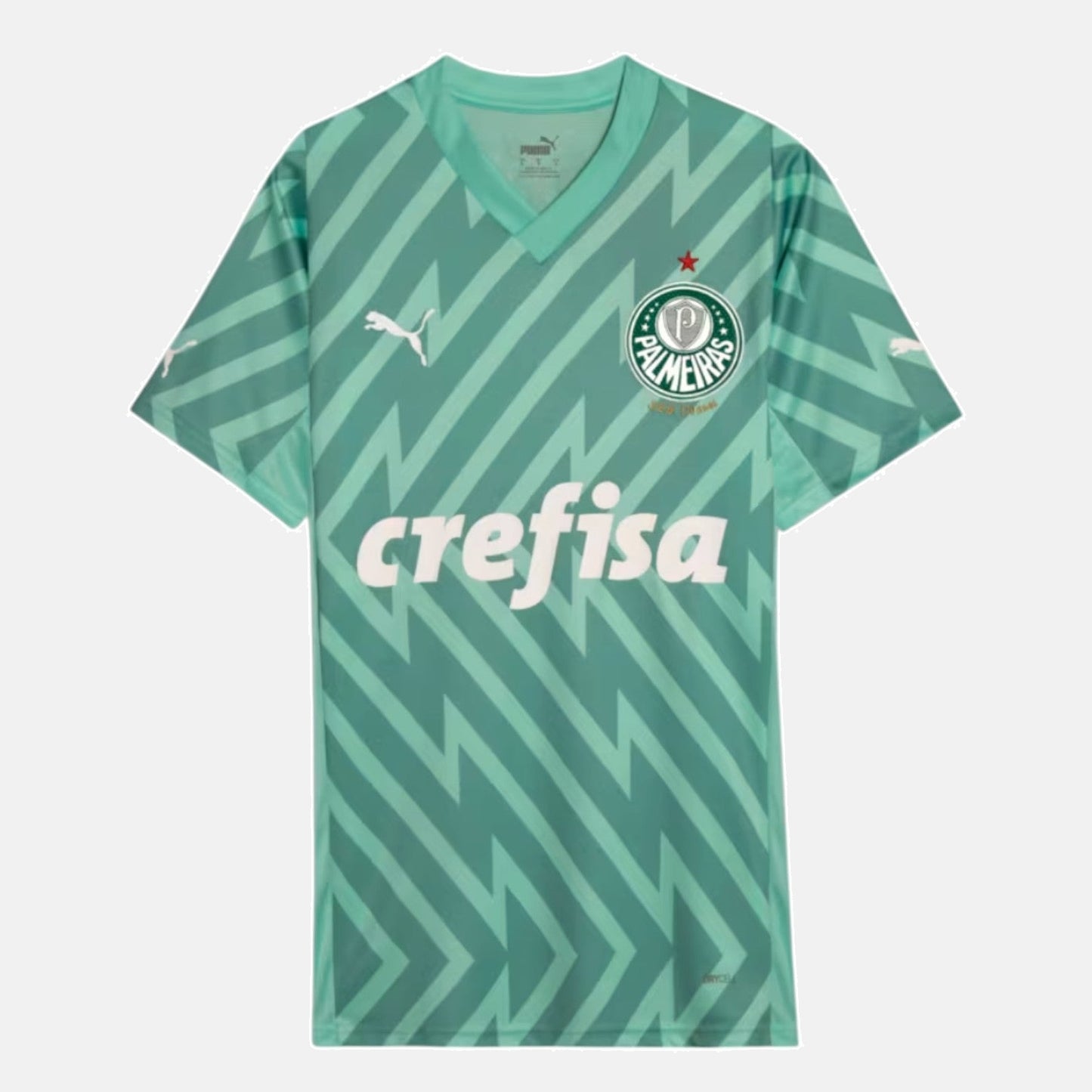 Palmeiras Goalkeeper III Jersey 2024/2025