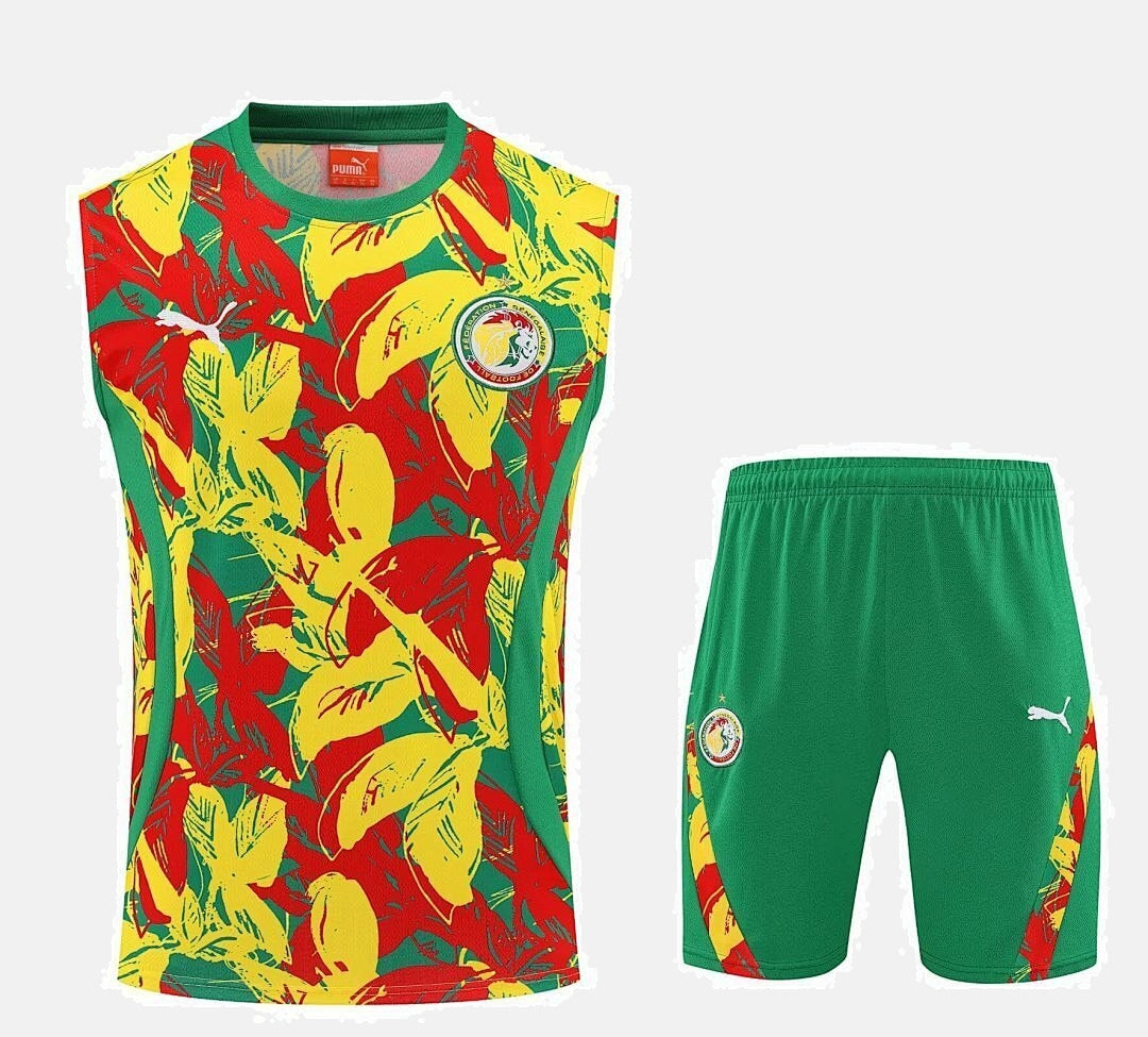 Senegal 2025 Training Kit - No Sleeve