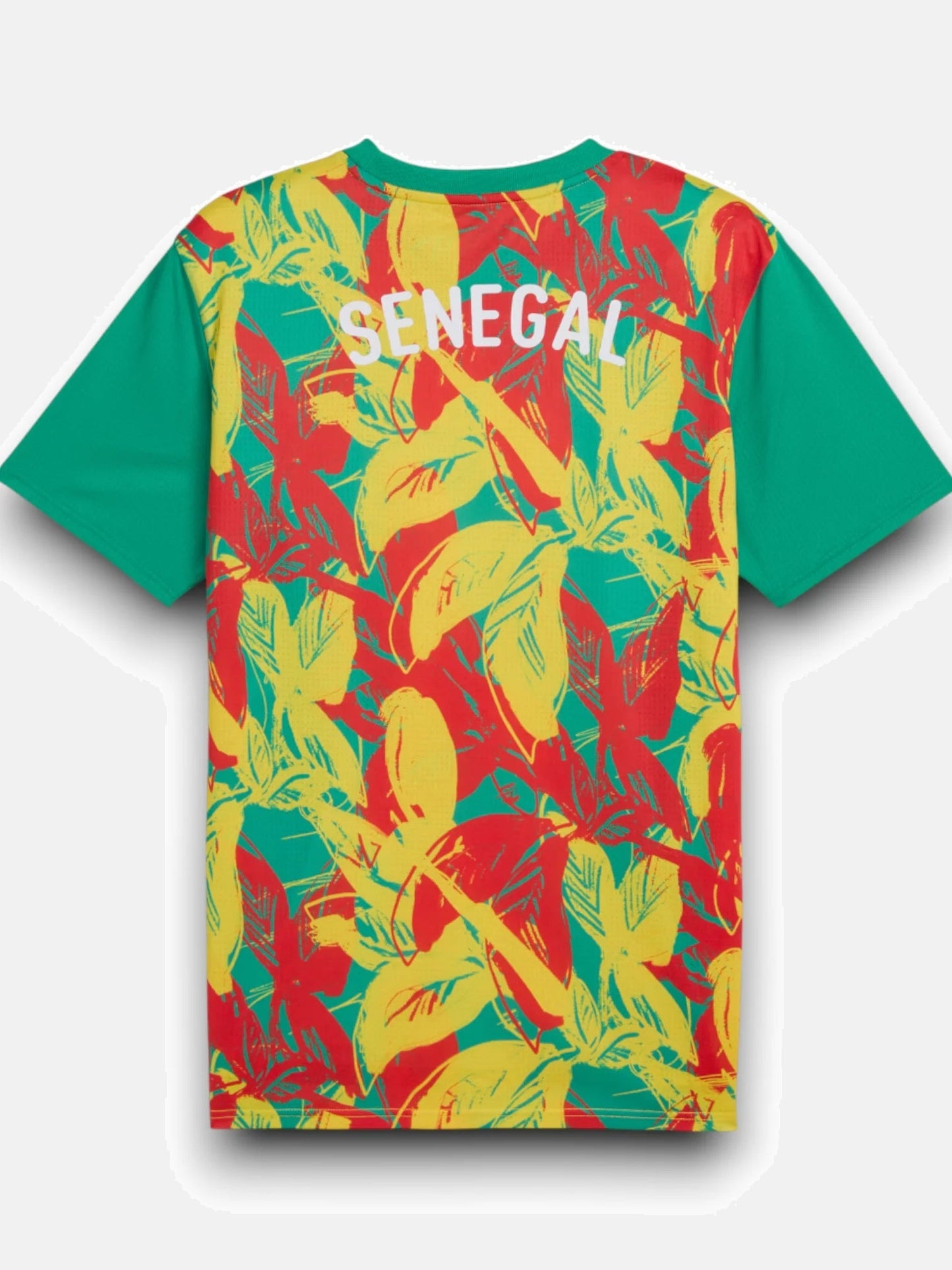 Senegal Pre-Match Jersey 2025